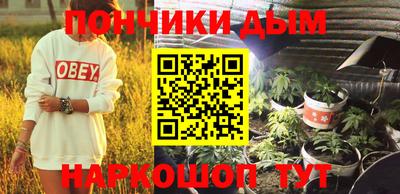 крисы Будённовск